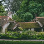 Démoussage de toiture dans le Val d’Oise : Guide complet pour un toit sain et durable