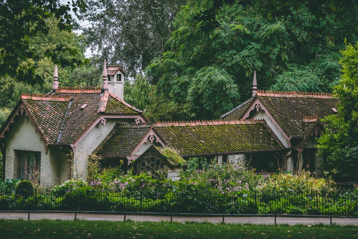 Lire la suite à propos de l’article Démoussage de toiture dans le Val d’Oise : Guide complet pour un toit sain et durable