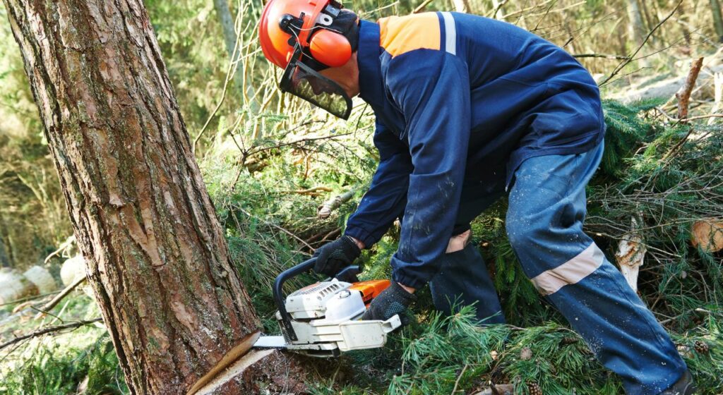 Techniques innovantes utilisées par les professionnels de l’Orne | nj-service